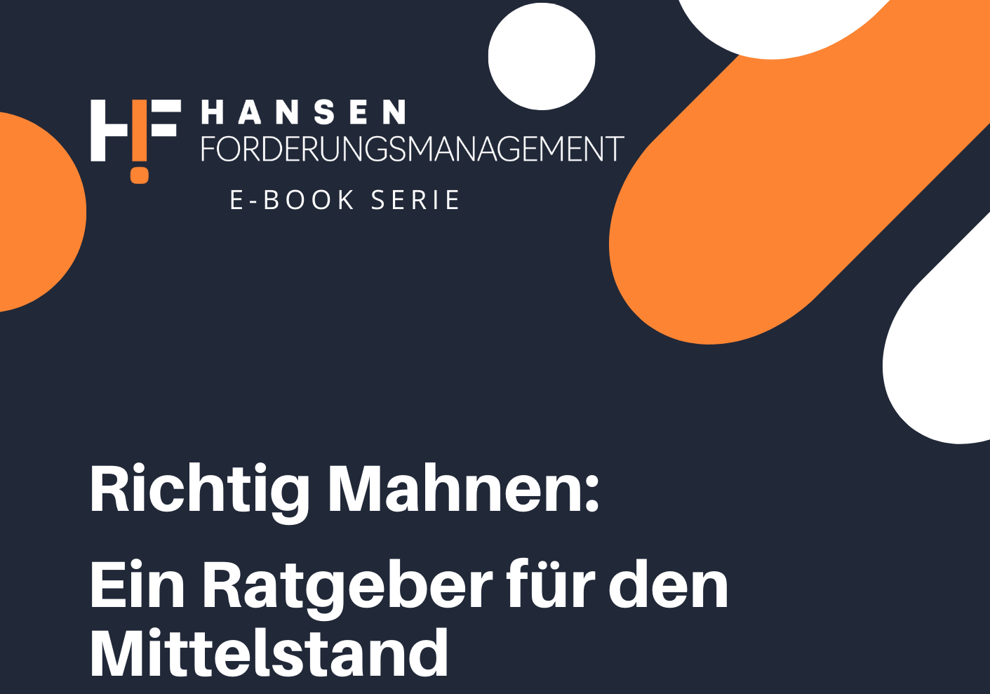 E-Book  Cover  richtig mahnen  (210 × 297 mm)-1-1